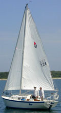 Bristol 24