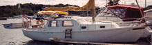 Pearson 300