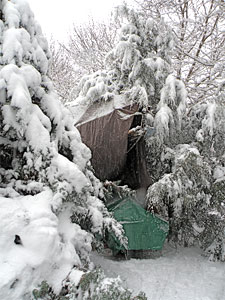 Bayfield 29 in the snow
