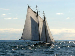 Tancook 47