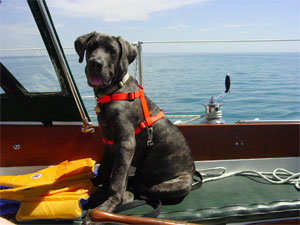 Bullett, first mate