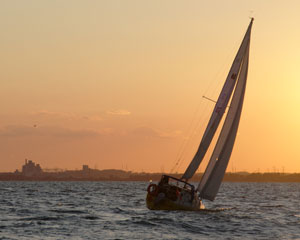 Grampian 26