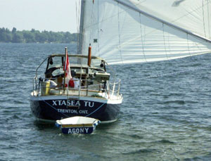 Nonsuch 26