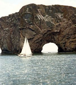 Halman 20