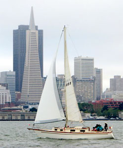 Mariner 36