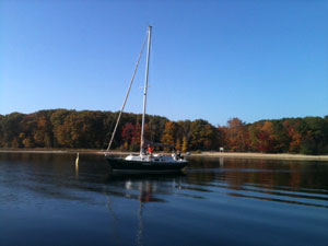 Niagara 31