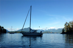 Crown 28