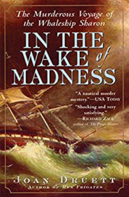 In the Wake of Madness: Book Review