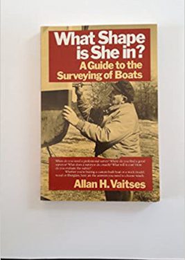 What Shape is She in? Book Review
