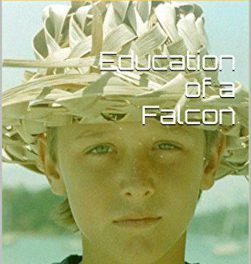 Education of a Falcon: Book Review