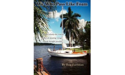 We Who Pass Like Foam: Book Review