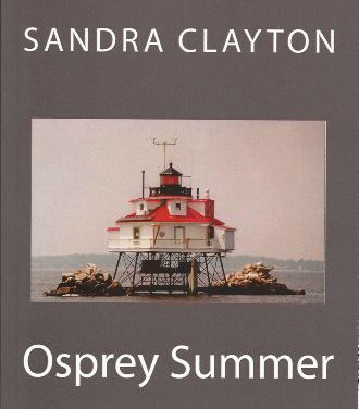 Osprey Summer: A Very American Experience