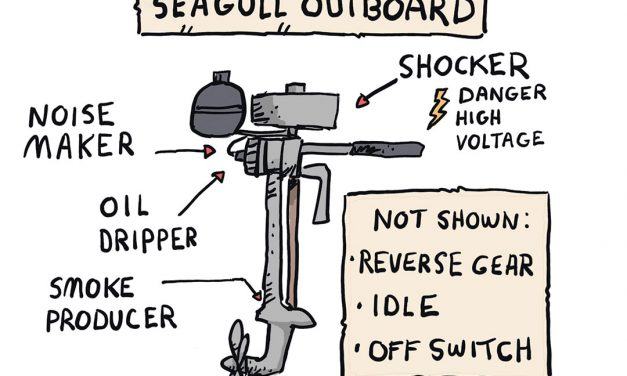 One Wing Flapping – Seagull Outboard