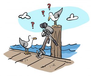 Seagull outboard engine illustration