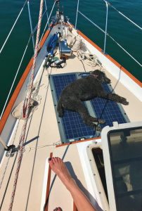 a panel on the foredeck doubles asa dog bed.