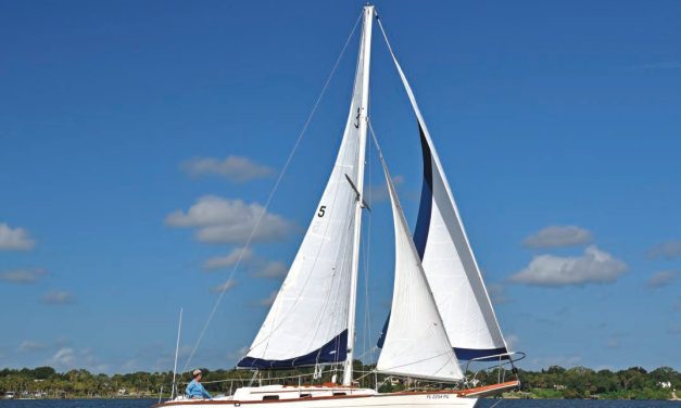 Southern Cross 28