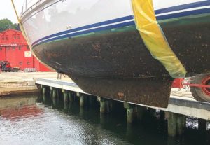 The boat bottom after a year of cruising with Coppercoat.The slime and a small number of barnacles were easily
removed with a powerwash.