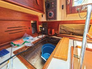boat termites