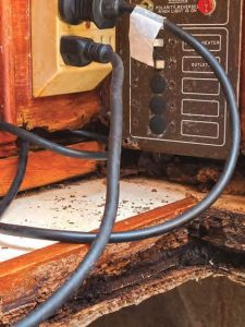 termites on boat