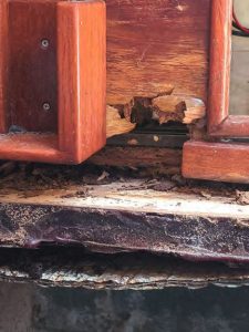 galley termite damage