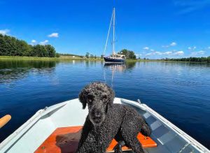 Bill the boat dog sits in the dinghy while Sundance sits peacefully anchored in Colwells Creek.