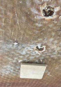 A small plywood squarehot-glued beneath the fastener holes
prevented epoxy from dripping out of
the holes into the cabin below. Once
the epoxy cured, Bob could just tap the
square off with a mallet and putty knife.