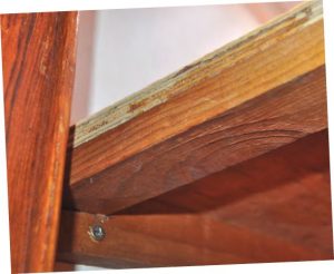 Dini used cleats, fastened into the showercompartment walls, to support the
shelves