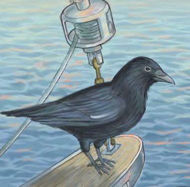 As the Crow Flies