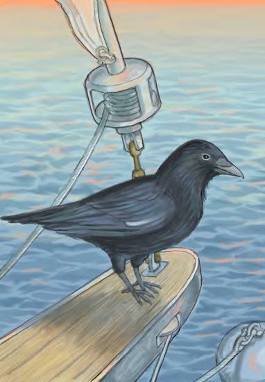 As the Crow Flies