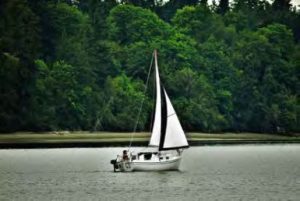 sailboat on water