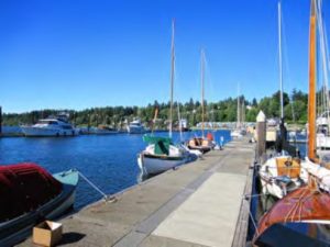 sailboats docked