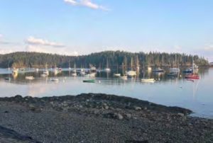 boats on water