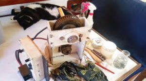 electric motor