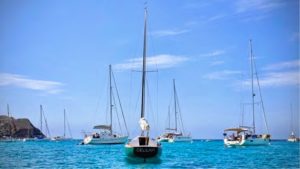 sailboats on water