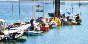 sailboats