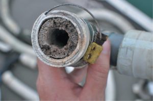 hose filled with scale