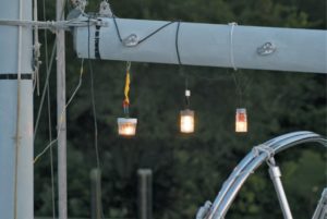 mason jar lights