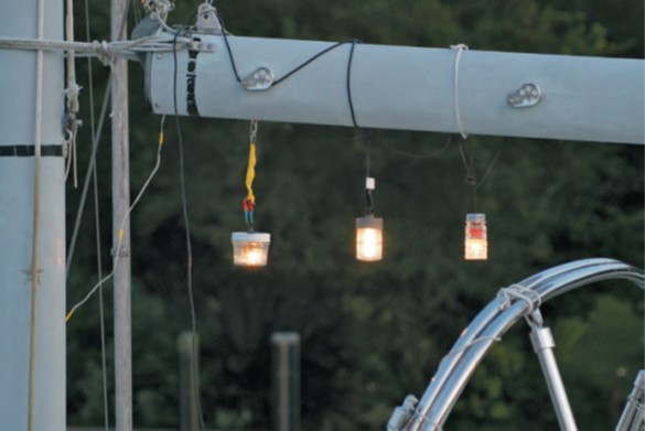 Lightbulb Moment