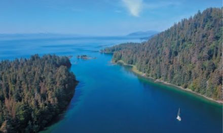 A Southeast Sojourn, Part 2