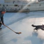 Skating Through Winter