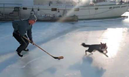Skating Through Winter
