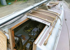 new mold on boat