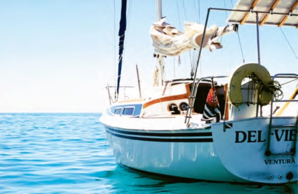 The Happiest Days (?)