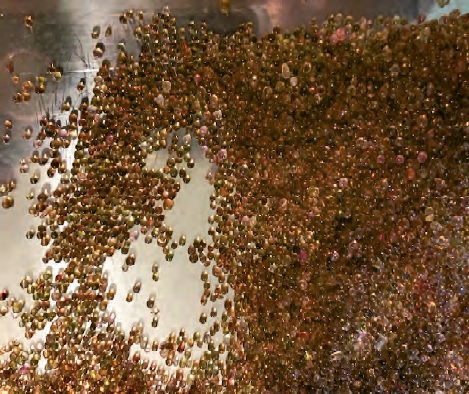 Saturated beads on cookie sheet