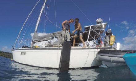 No-Haul-Out Rudder Drop