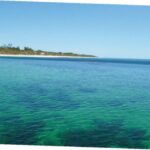 photo of australian water