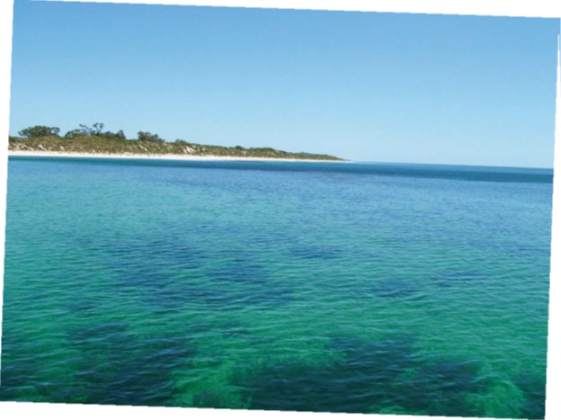 photo of australian water