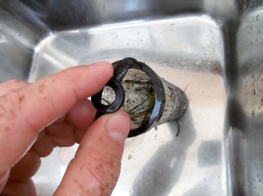 water strainer full of weeds
