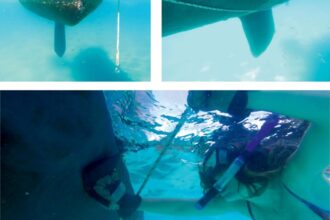 woman cleaning underwater