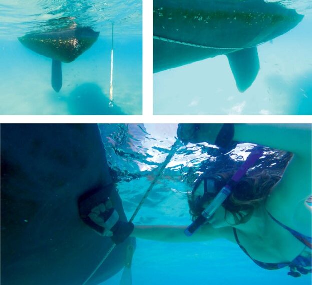 woman cleaning underwater